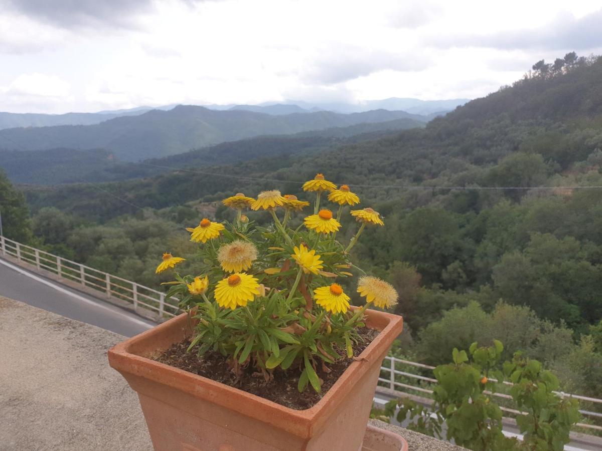 Bed & Breakfast Ca' Di Vissai Arnasco Экстерьер фото