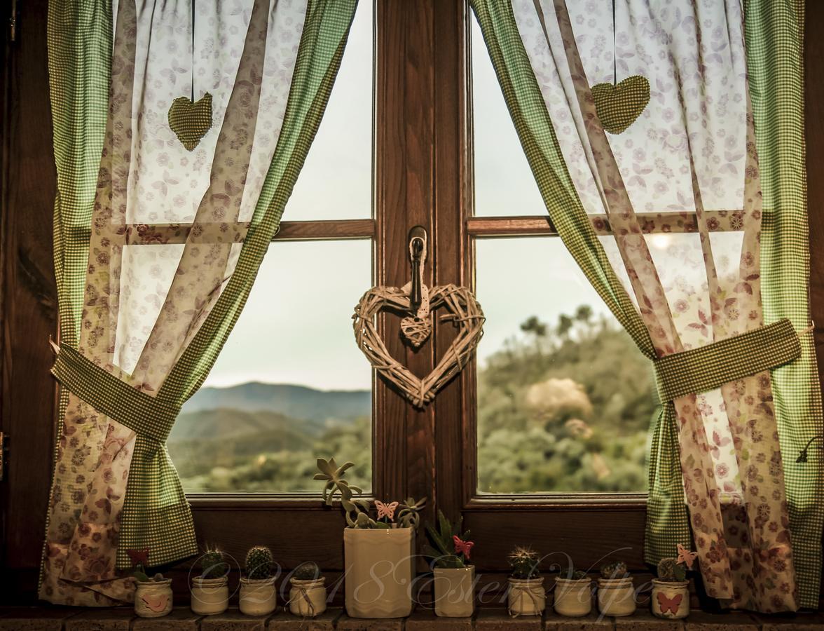 Bed & Breakfast Ca' Di Vissai Arnasco Экстерьер фото