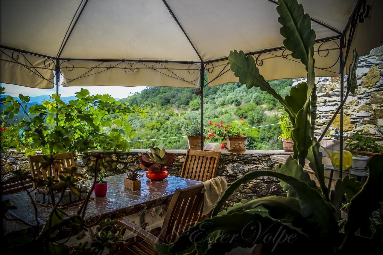 Bed & Breakfast Ca' Di Vissai Arnasco Экстерьер фото